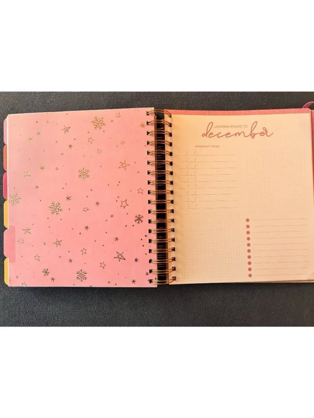 PINK COWGIRL 17 Month 2026-2027 Planner Month Day Week Organizer Planning Note